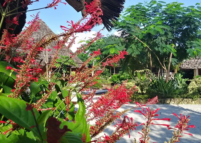 Marafiki Bungalows Kiwengwa 