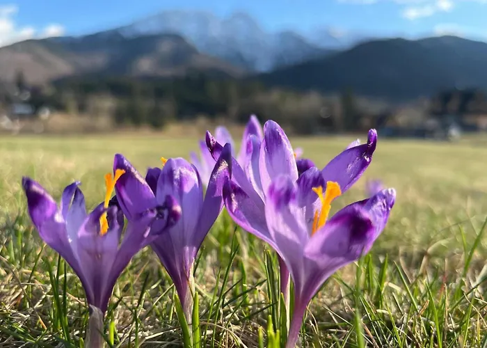 Radisson Blu Hotel & Residences Zakopane